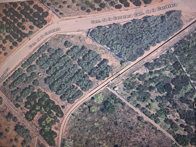 Terreno, Villarreal/Vila Real