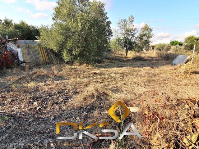 Terreno, Villarreal/Vila Real