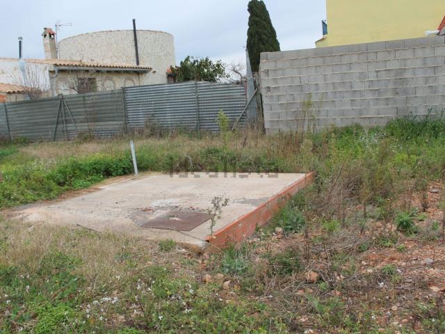 Terreno, Villarreal/Vila Real