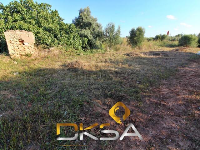 Terreno, Villarreal/Vila Real