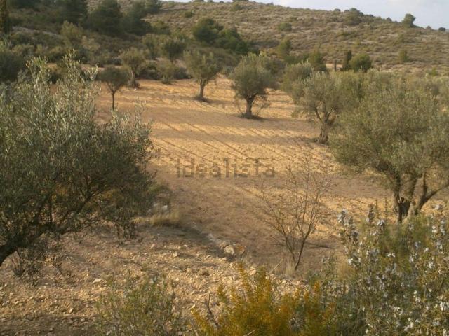 Terreno, Villena