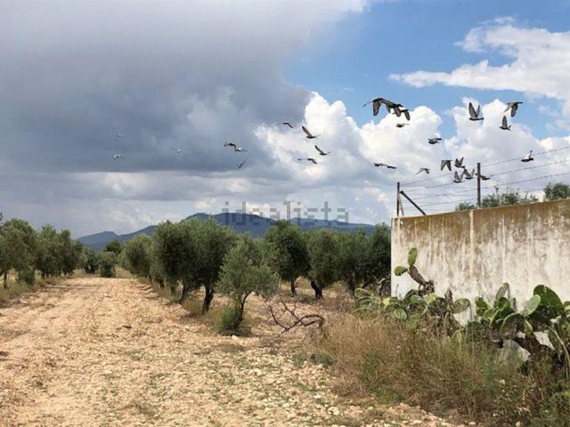 Terreno, Villena