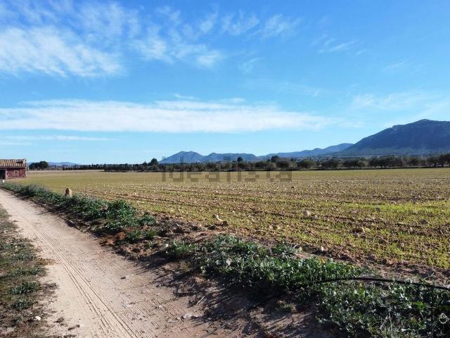 Terreno, Villena