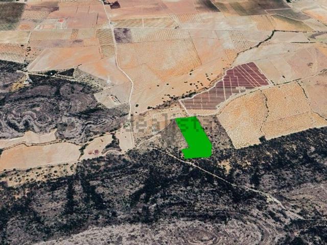 Terreno, Villena