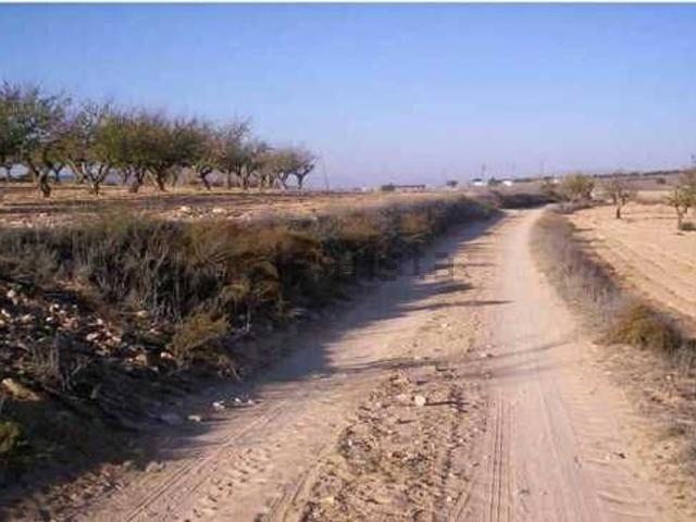 Terreno, Villena