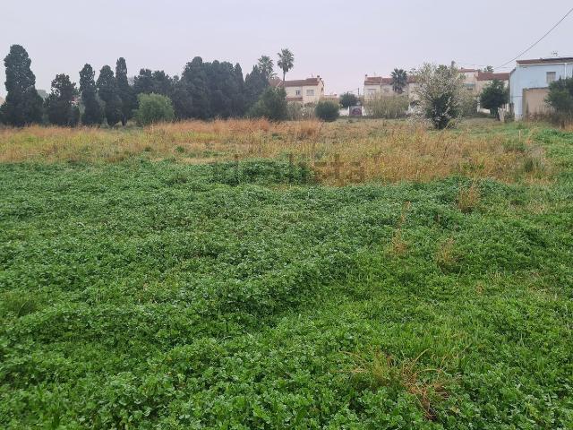 Terreno, Vinarós