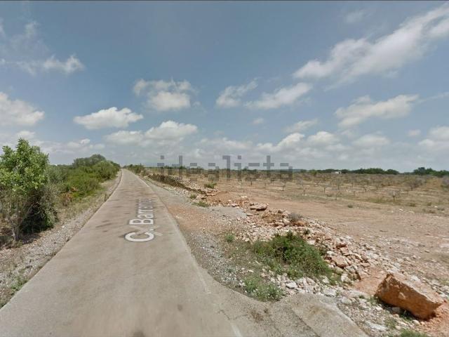 Terreno, Vinarós