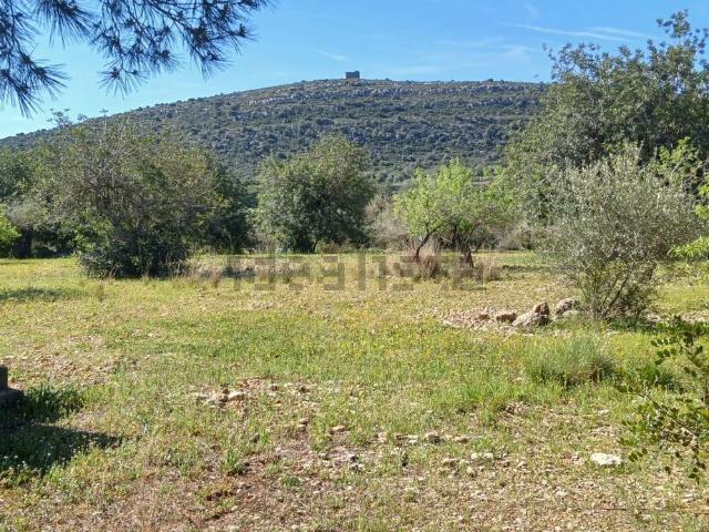 Terreno, Vinarós