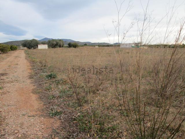 Terreno, Vinarós