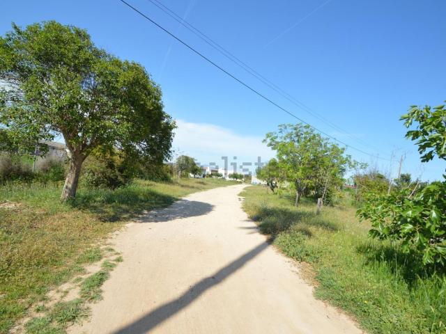Terreno, Vinarós