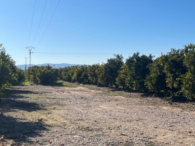 Terreno, Vinarós