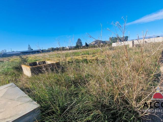 Terreno, Vinarós