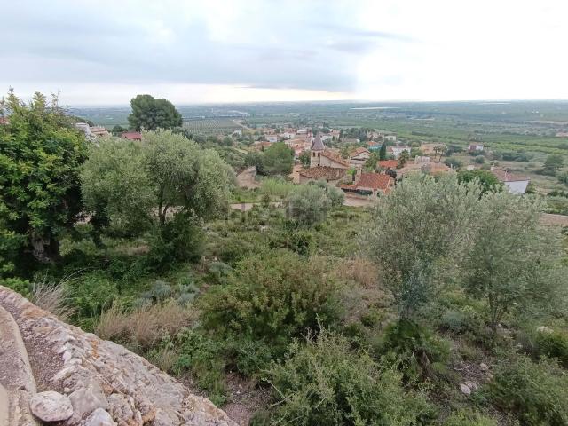 Terreno, Vinarós