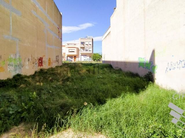 Terreno, Vinarós