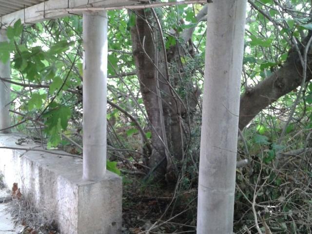Terreno, Vinarós