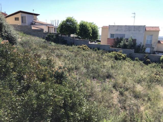 Terreno, Vinarós