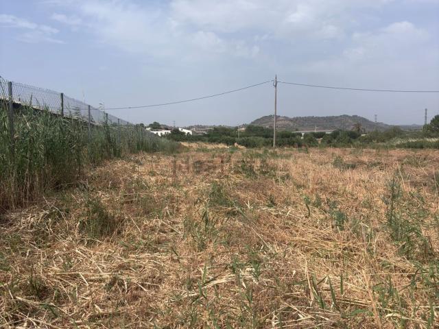 Terreno, Vinebre