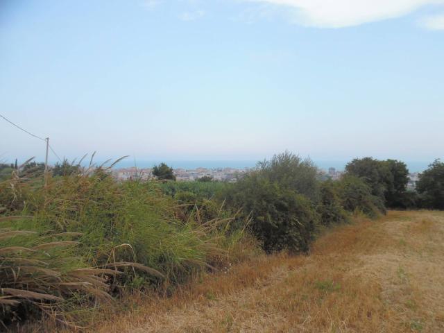Terreno Agricolo in vendita a San Benedetto del Tronto, Collinare