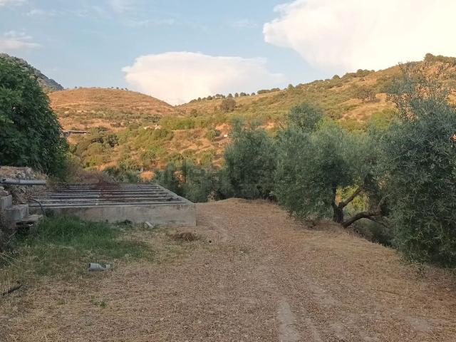 Terreno, Viznar