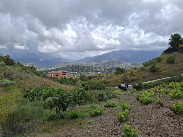 Terreno, Viñuela