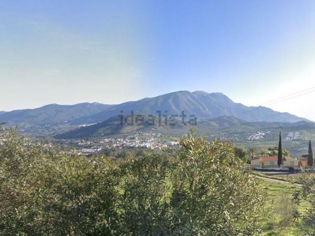Terreno, Viñuela