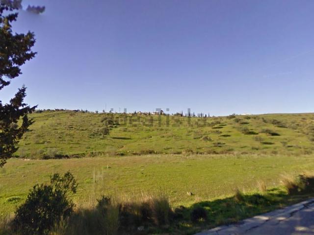Terreno, Viñuela