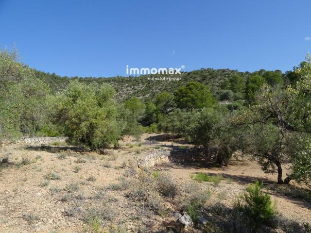 Terreno, Xerta