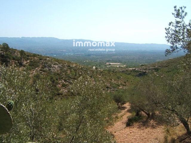 Terreno, Xerta