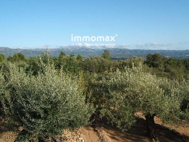 Terreno, Xerta