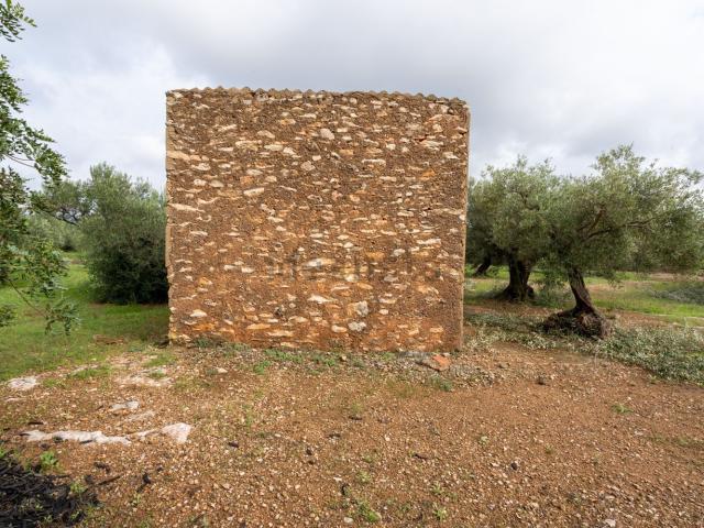 Terreno, Xerta