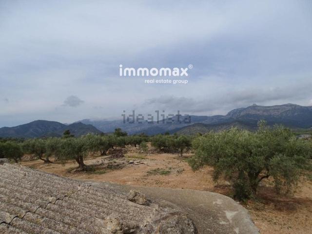 Terreno, Xerta