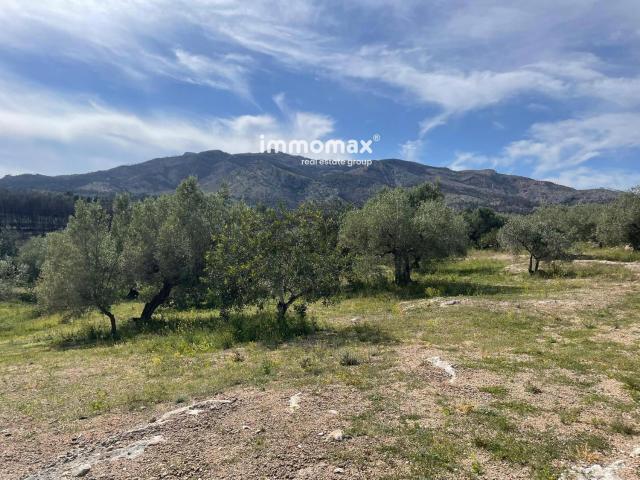 Terreno, Xerta