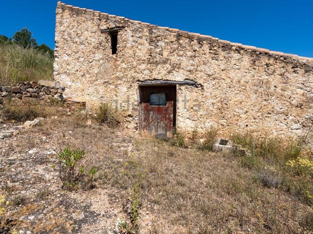 Terreno, Xerta