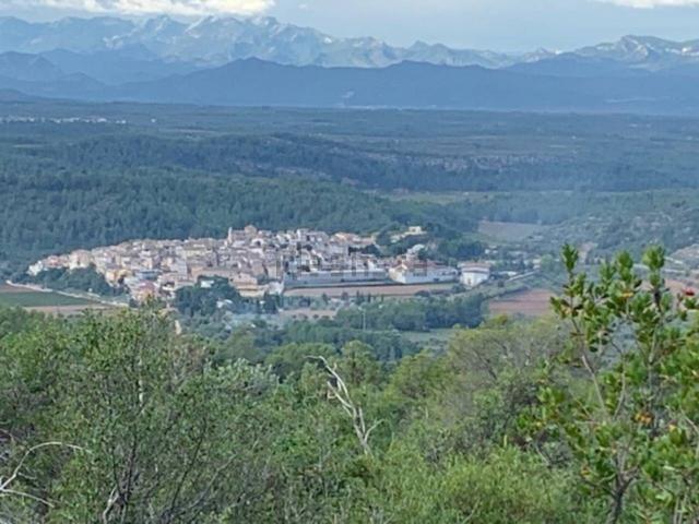 Terreno, Xerta