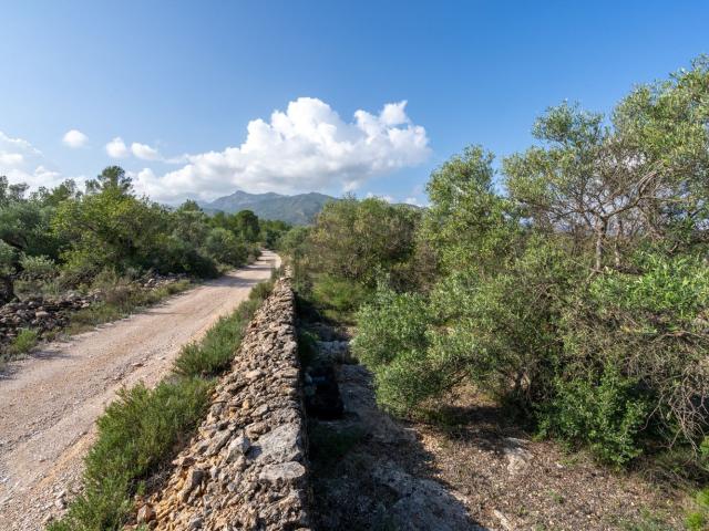 Terreno, Xerta