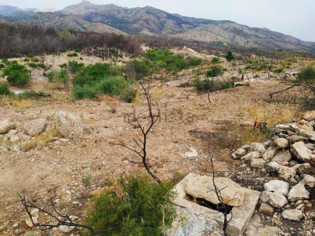 Terreno, Xerta