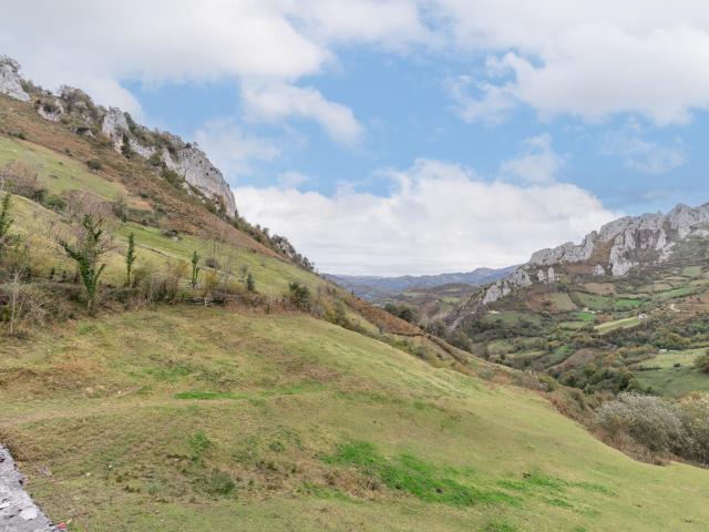 TERRENO Y CABAÑA EN VENTA EN PELUGANO PEÑAMEA LAVIANA