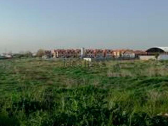 Terreno, Zamora