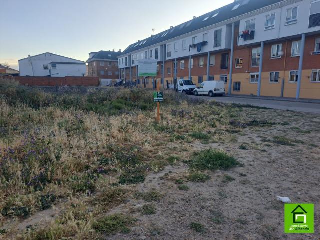 Terreno, Zamora