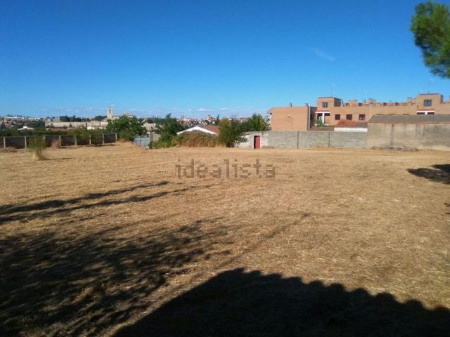 Terreno, Zamora