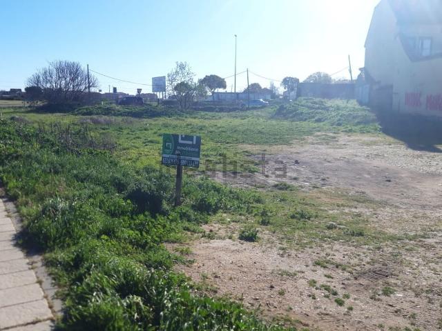 Terreno, Zamora