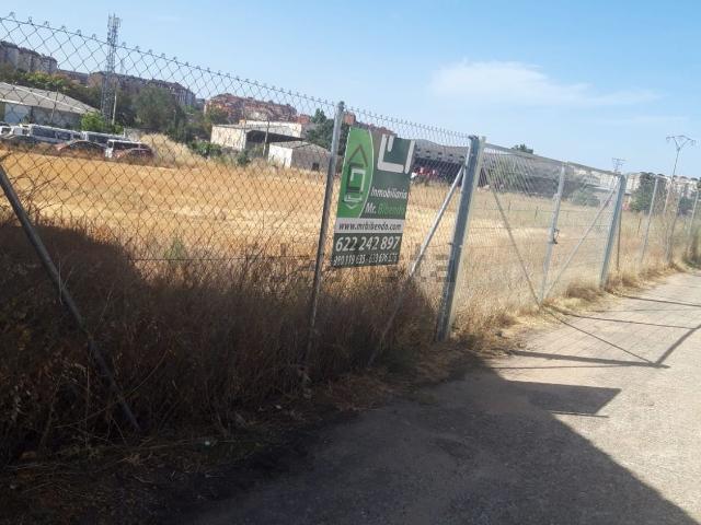 Terreno, Zamora
