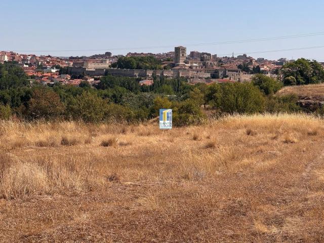 Terreno, Zamora