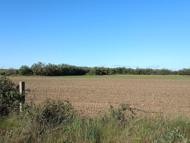 Terreno, Zarza de Granadilla