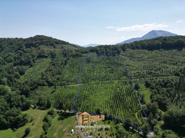 Terreno, Zestoa