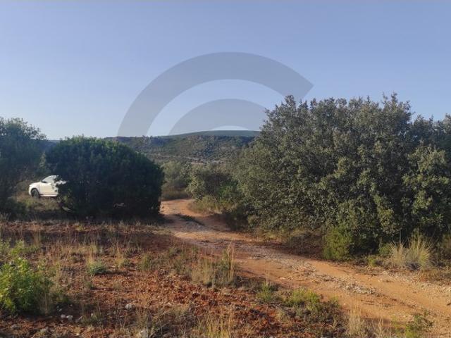 Terreno, Zibreira, Torres Novas | BPI Expresso Imobiliário