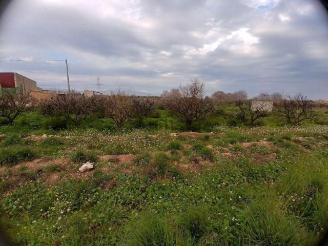 Terreno, Zona Av. del Mar, Castellón de la Plana / Castello de la Plana