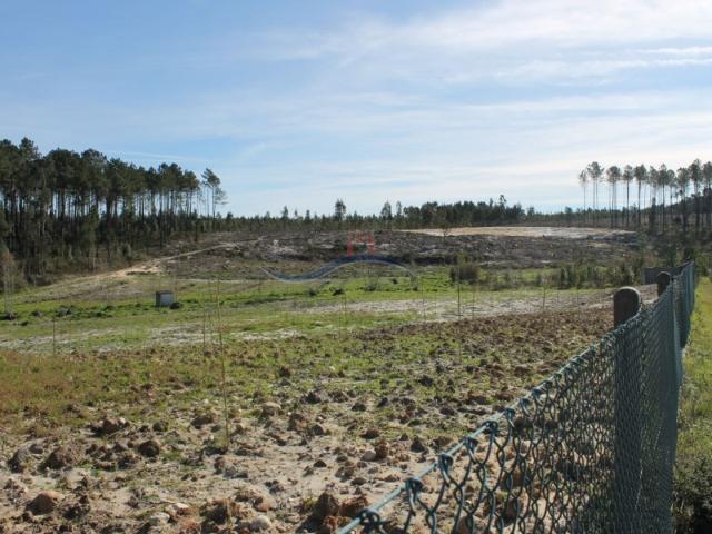 Terreno Zona Marinha Grande