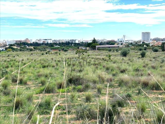 Terreno, Zona Plaza Illes Columbretes, Castellón de la Plana / Castello de la Plana