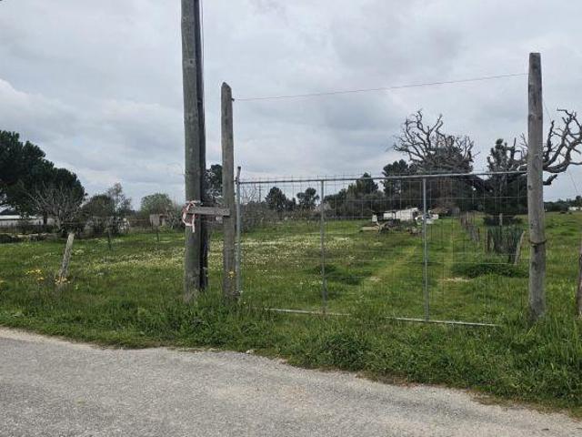 Terreno 1480 m2 Glória do Ribatejo Salvaterra de Magos | 26054072581